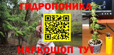 соль ск Будённовск